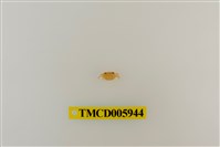 藏品(拉氏清溪蟹)的圖片